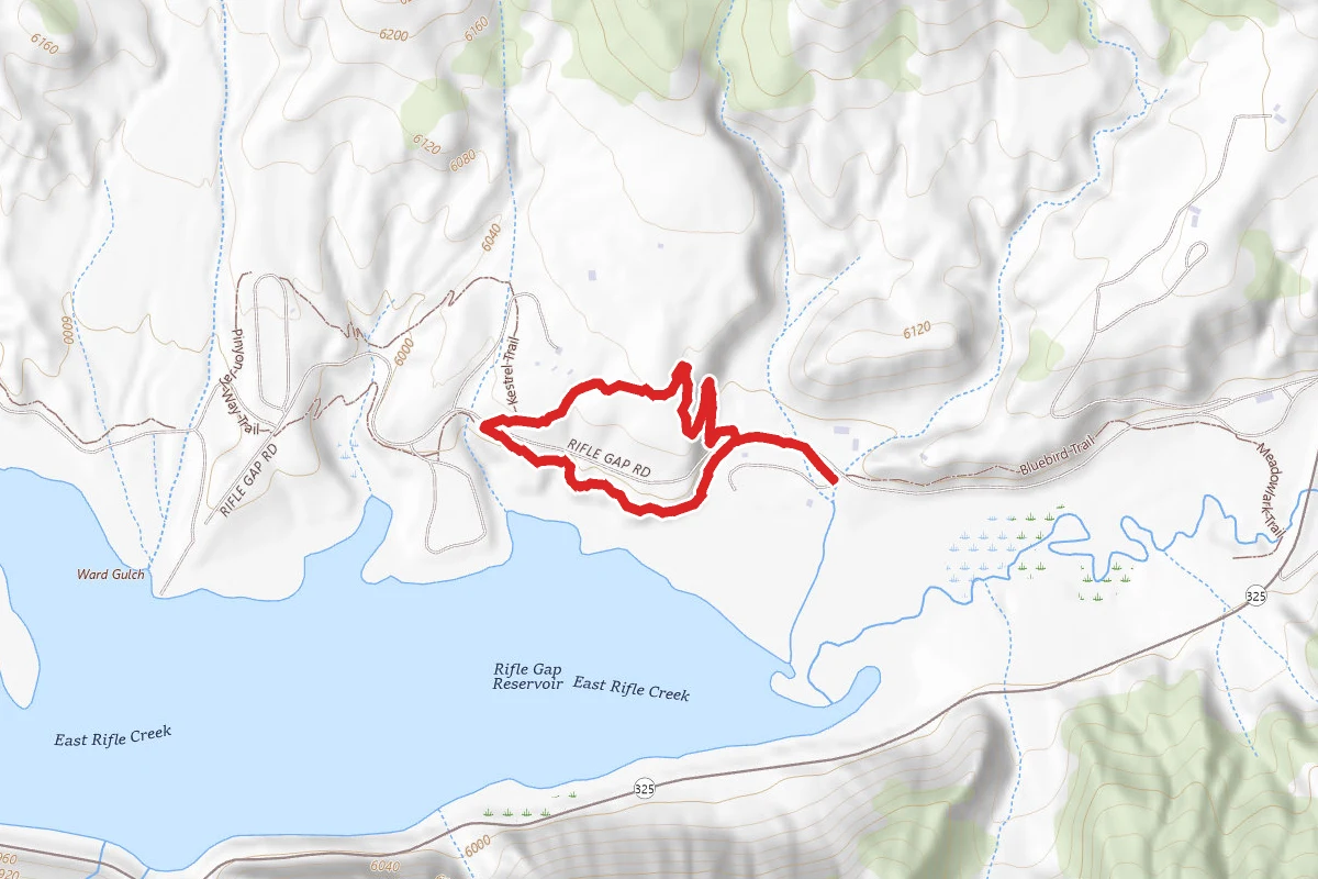 Loon Trail