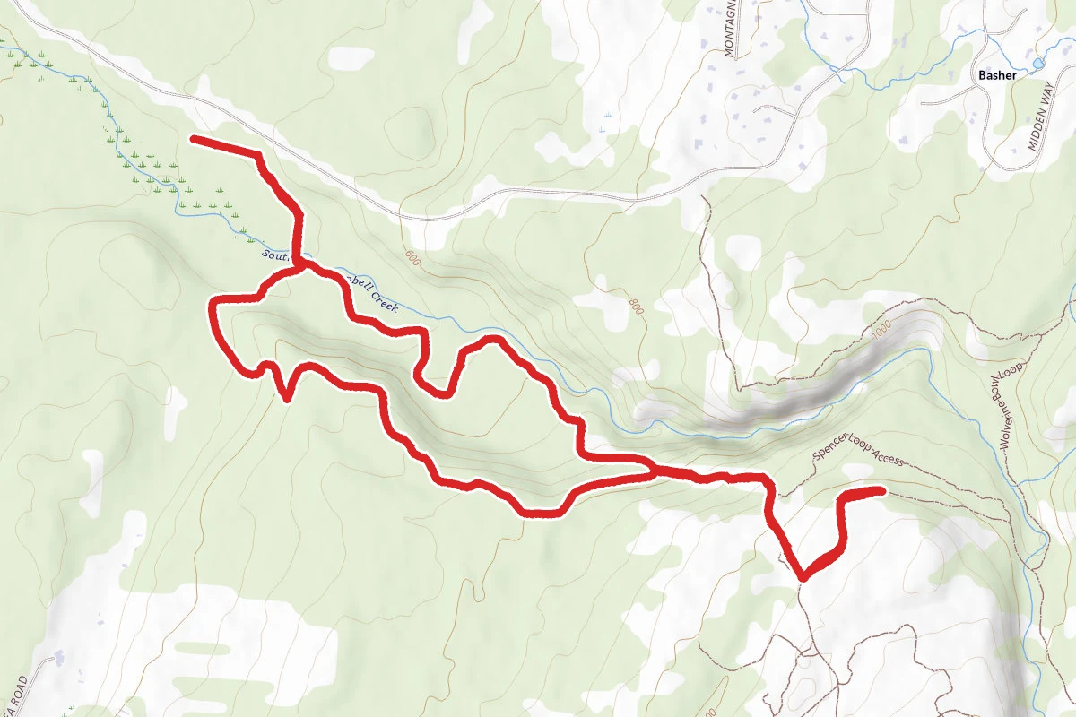 Campbell Gorge Hike