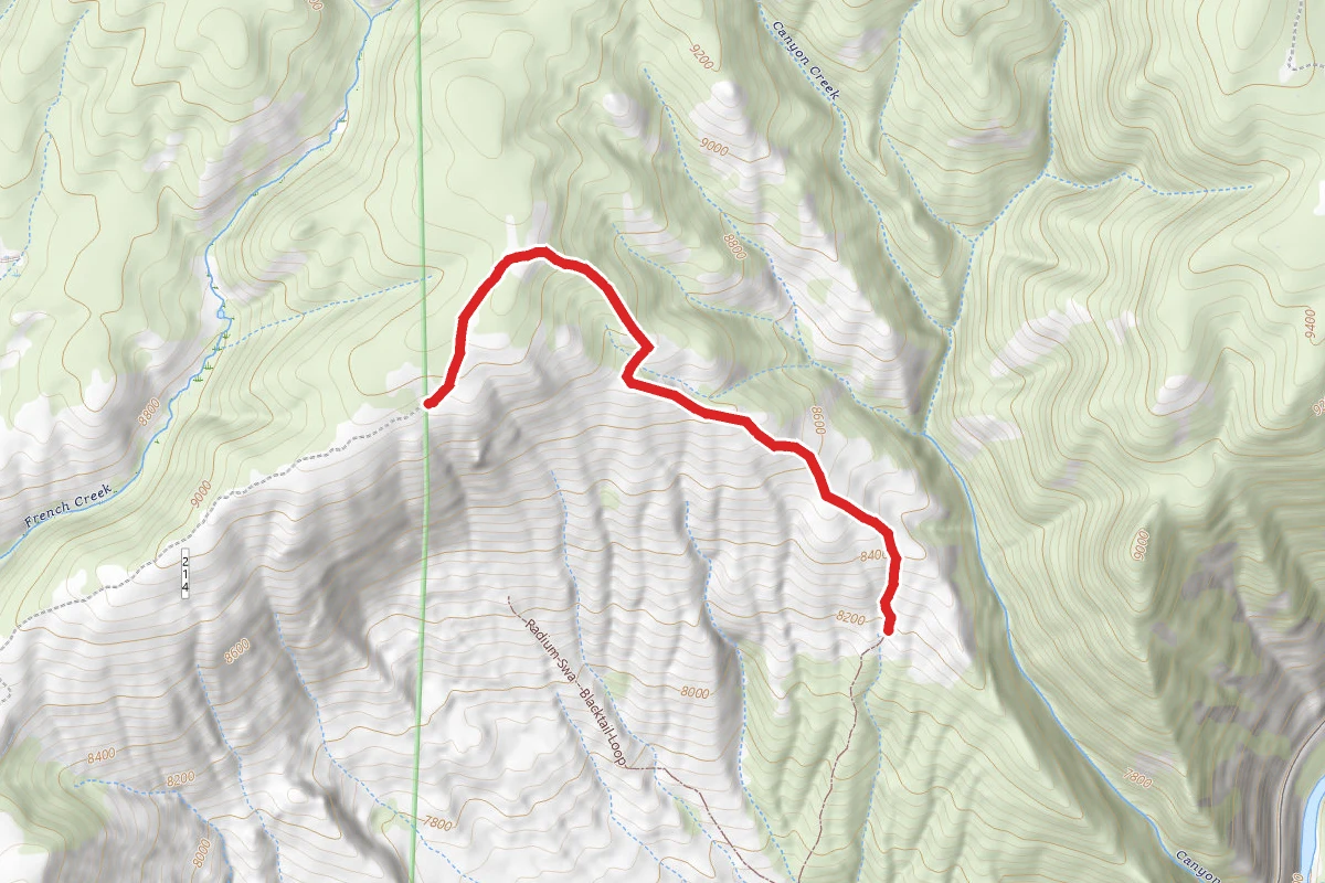 Blacktail Loop