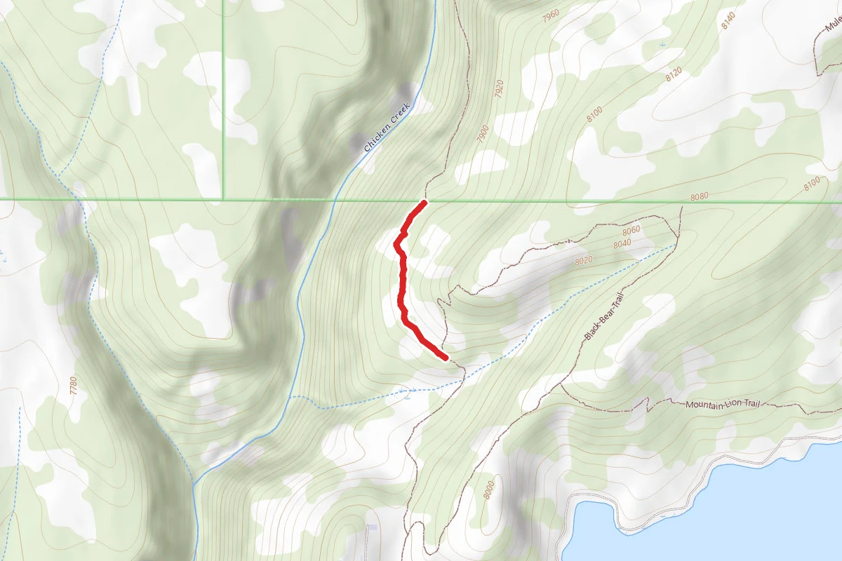 Black Bear Trail