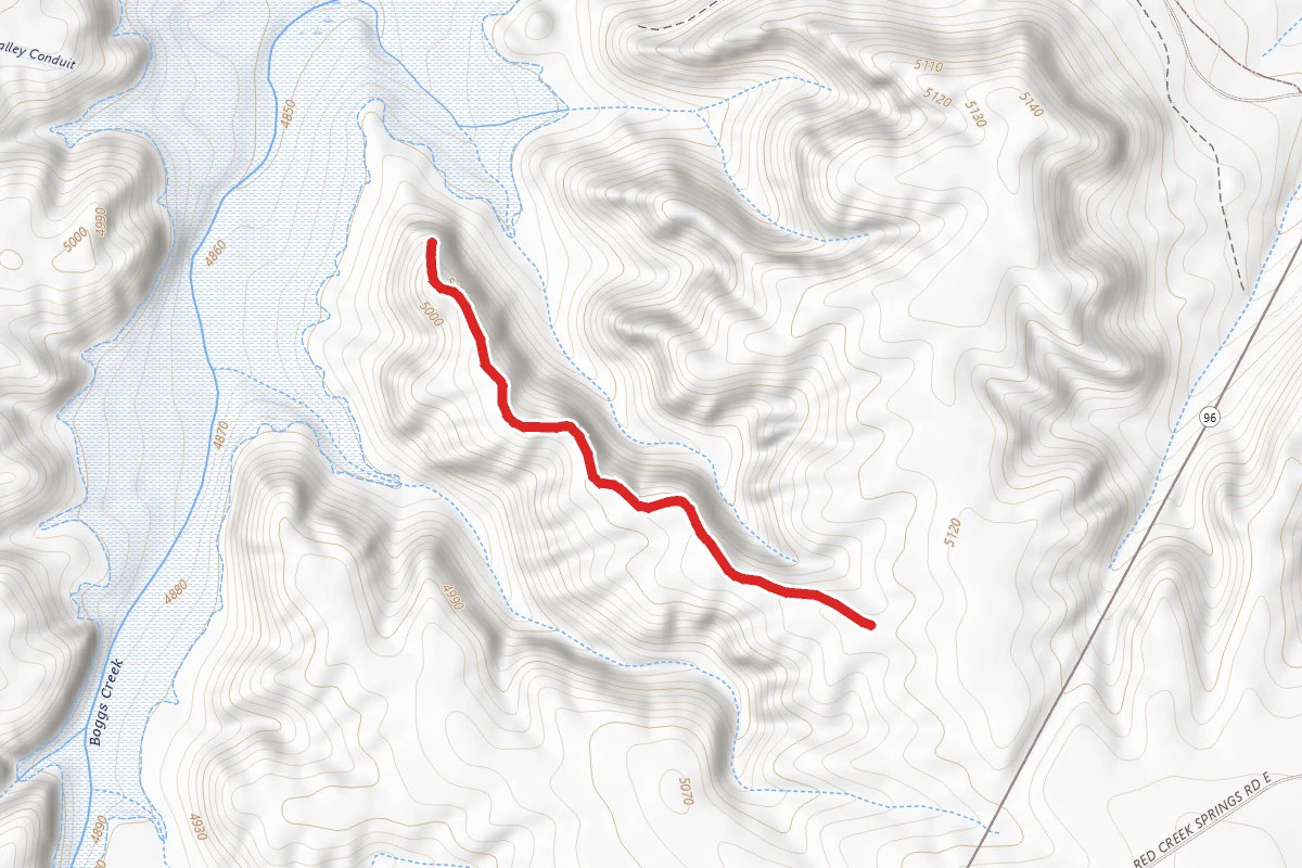 Boggs Overlook Trail