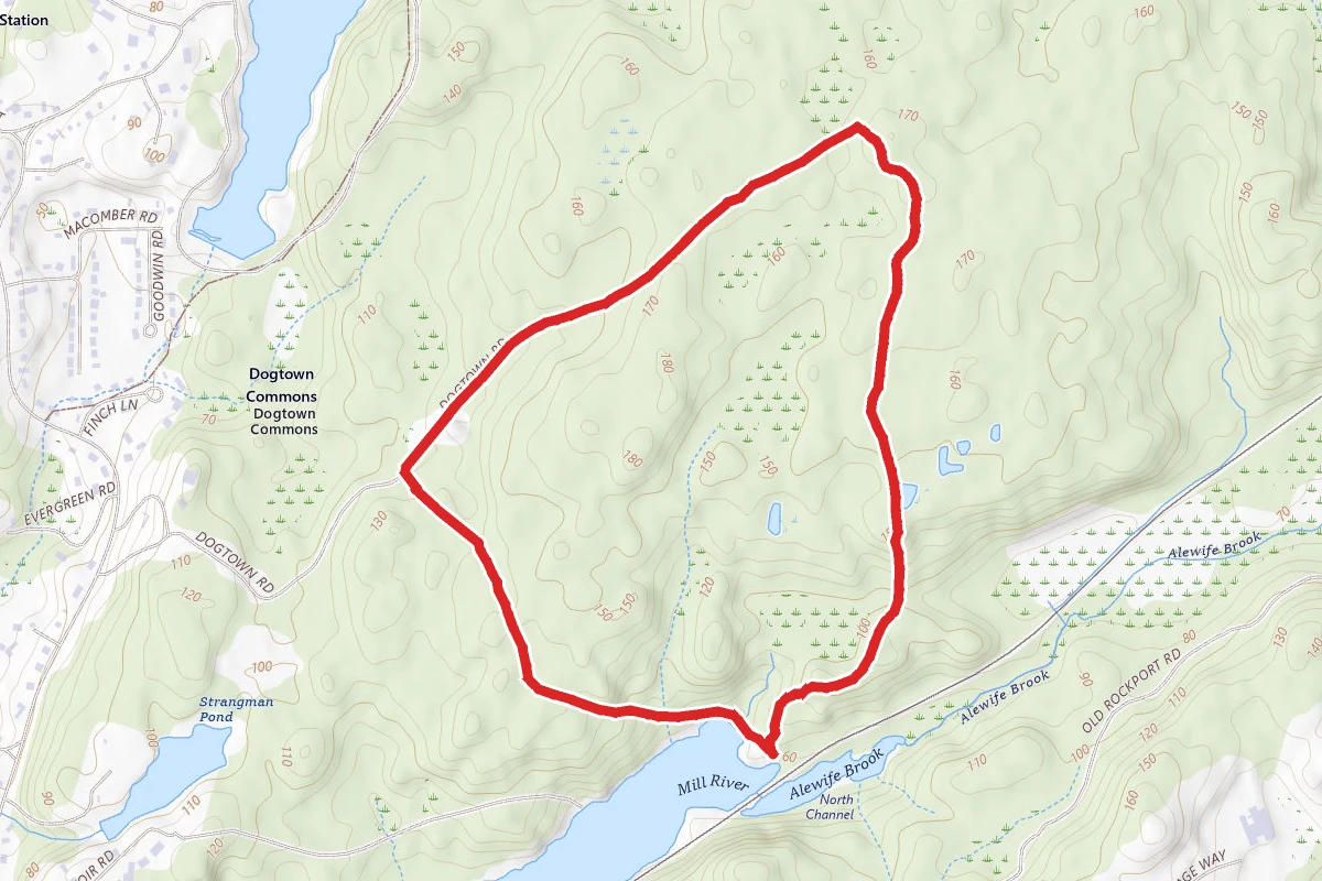 Babson Reservoir Dogtown Loop Trail