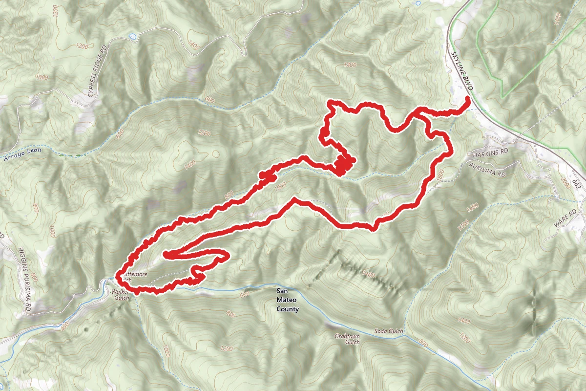 Whittemore Gulch and Harkins Ridge Loop Trail