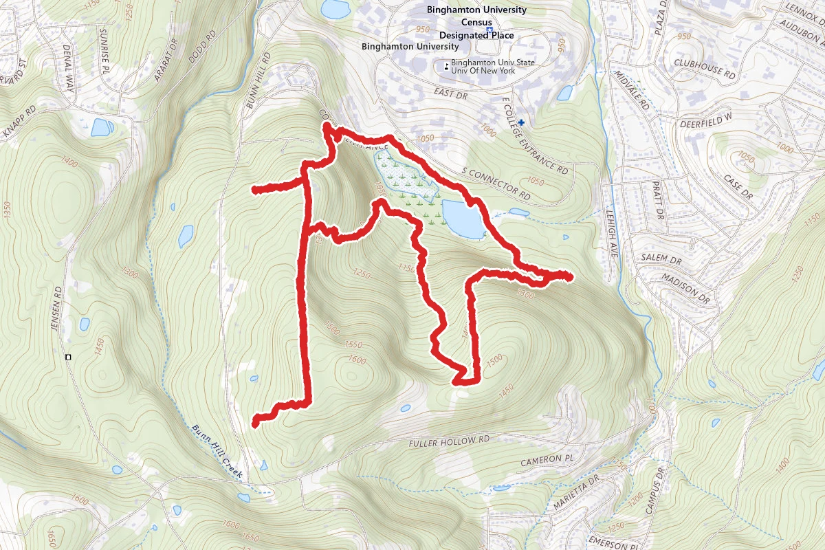 Binghamton University Nature Preserve Loop