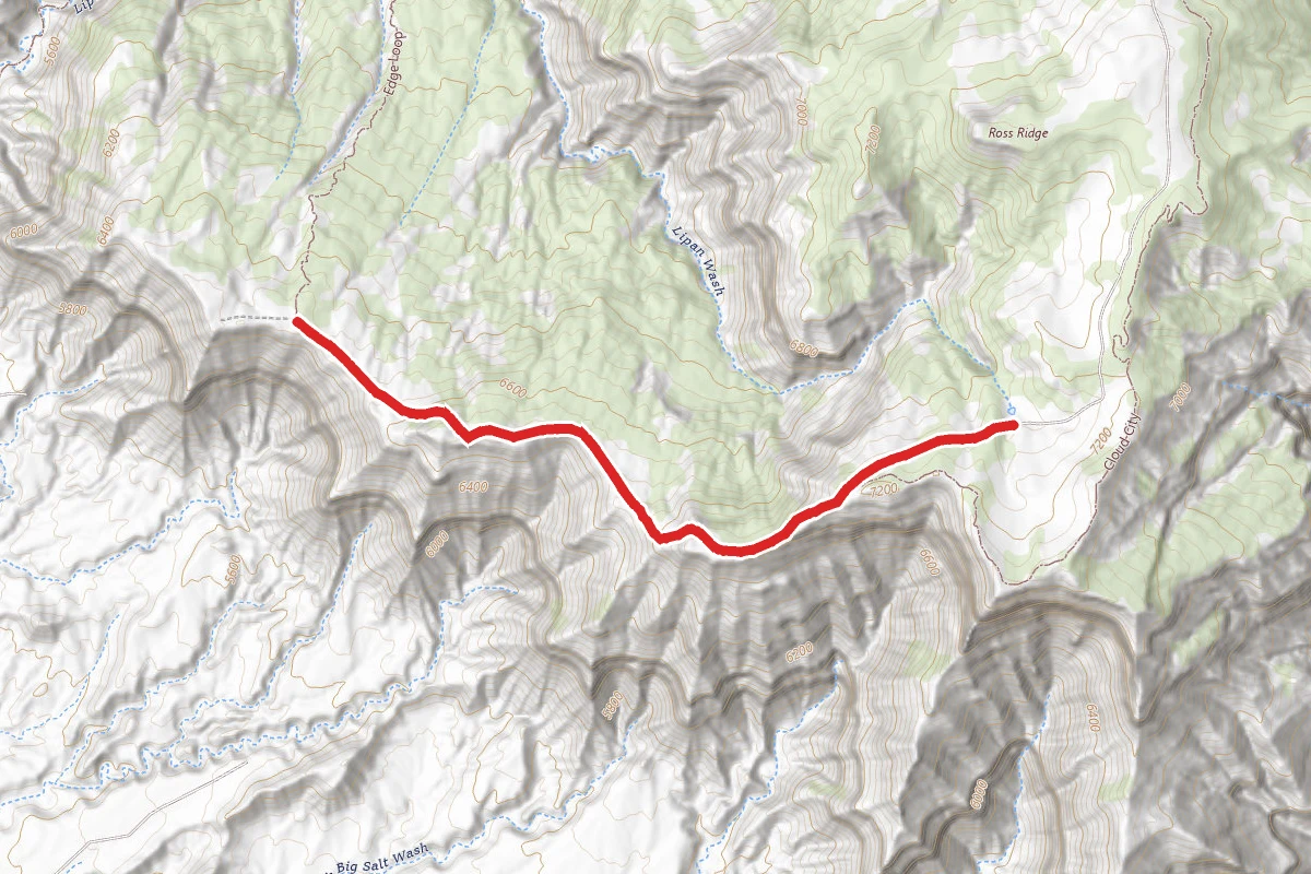 Edge Loop
