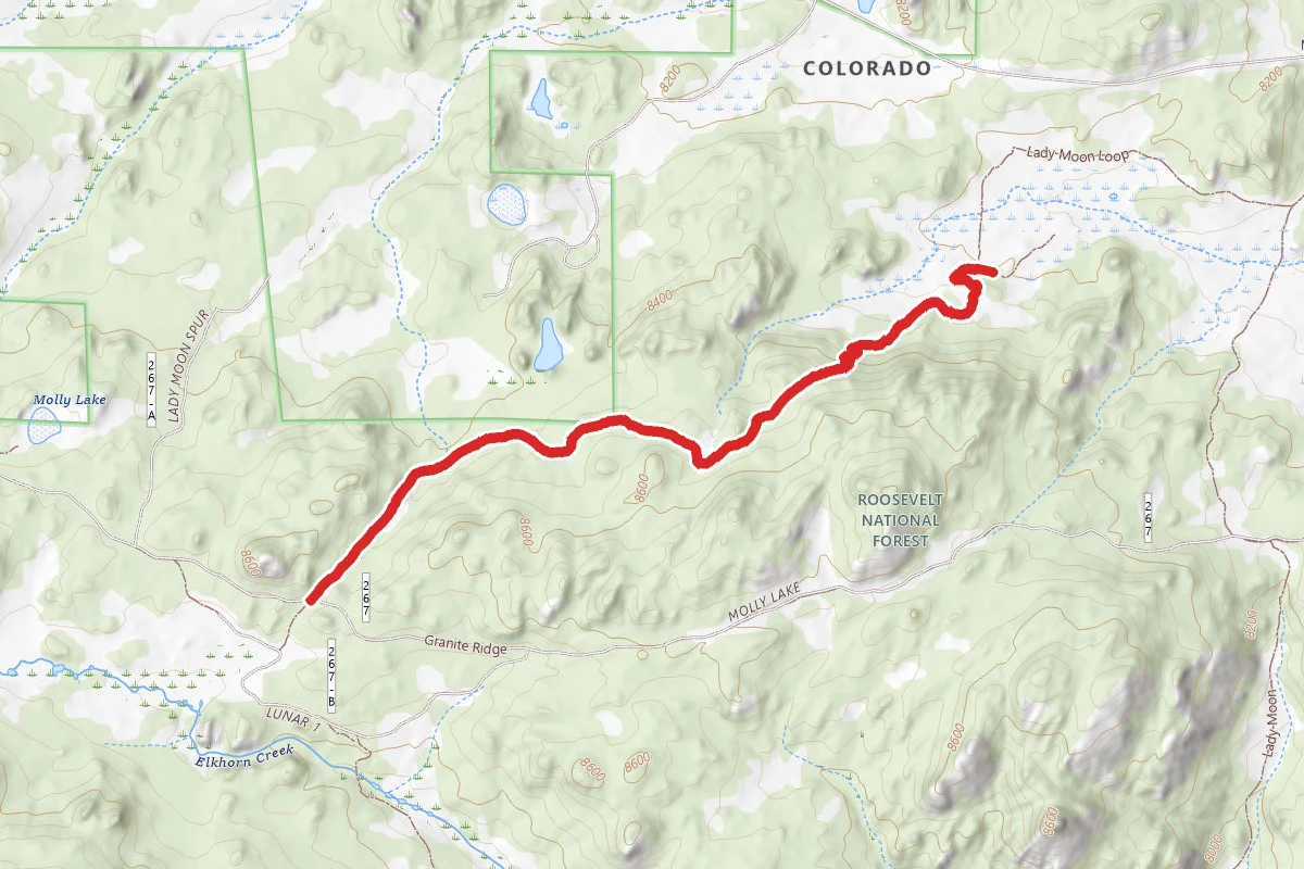 Molly Moon Trail