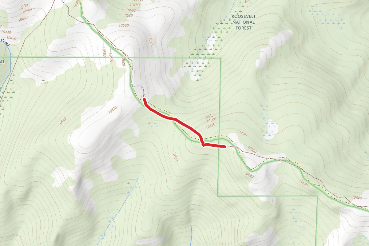Medicine Bow Trail
