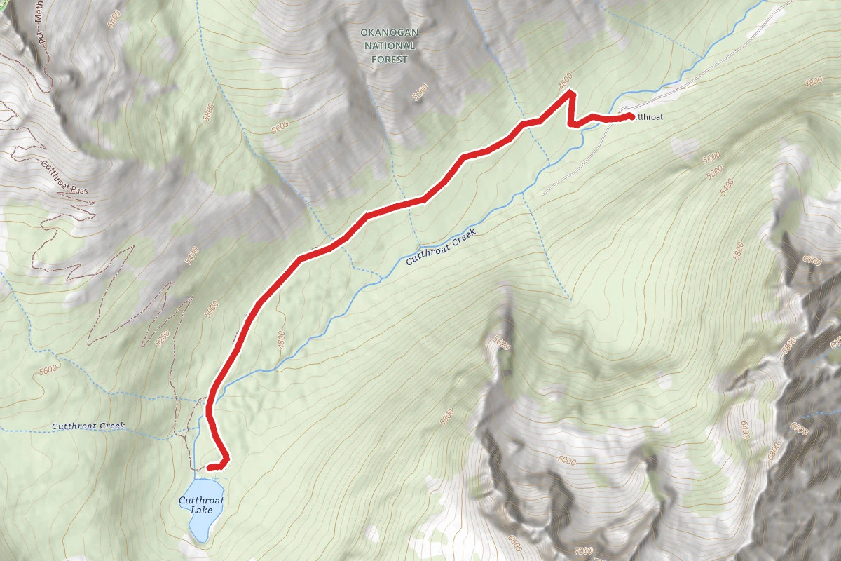 Cutthroat Lake Trail