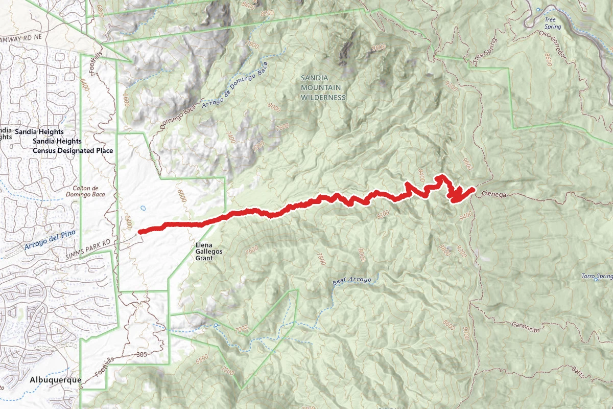 Pino Trail