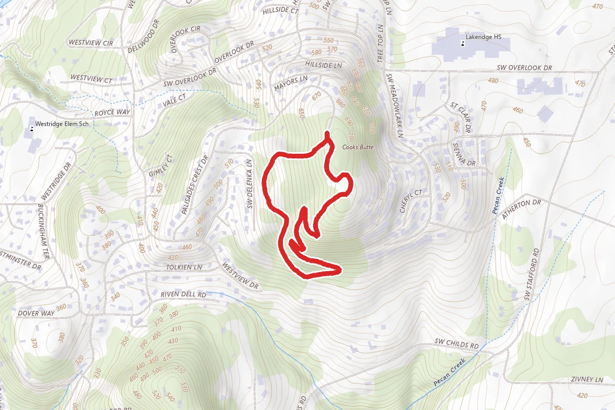 Cooks Butte Loop