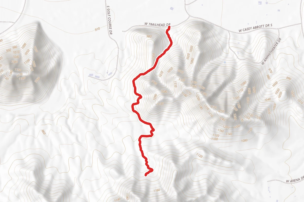 Quail Trail
