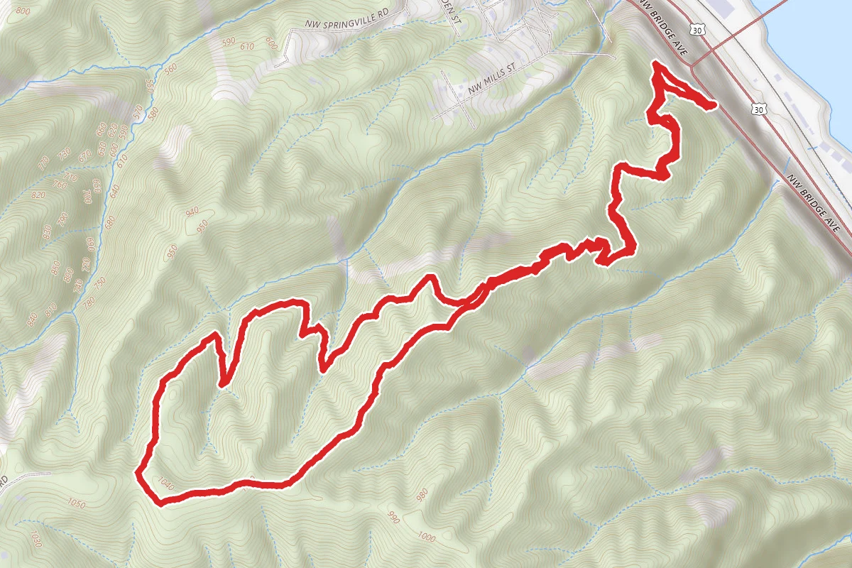 Hardesty Trail to Ridge Trail Loop
