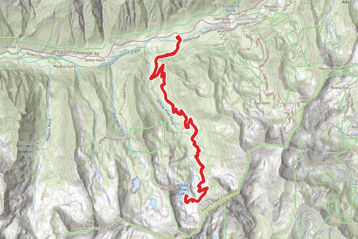 White Pine Lake Trail