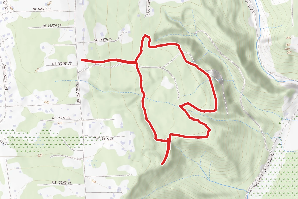 Ring Hill Forest Trail System