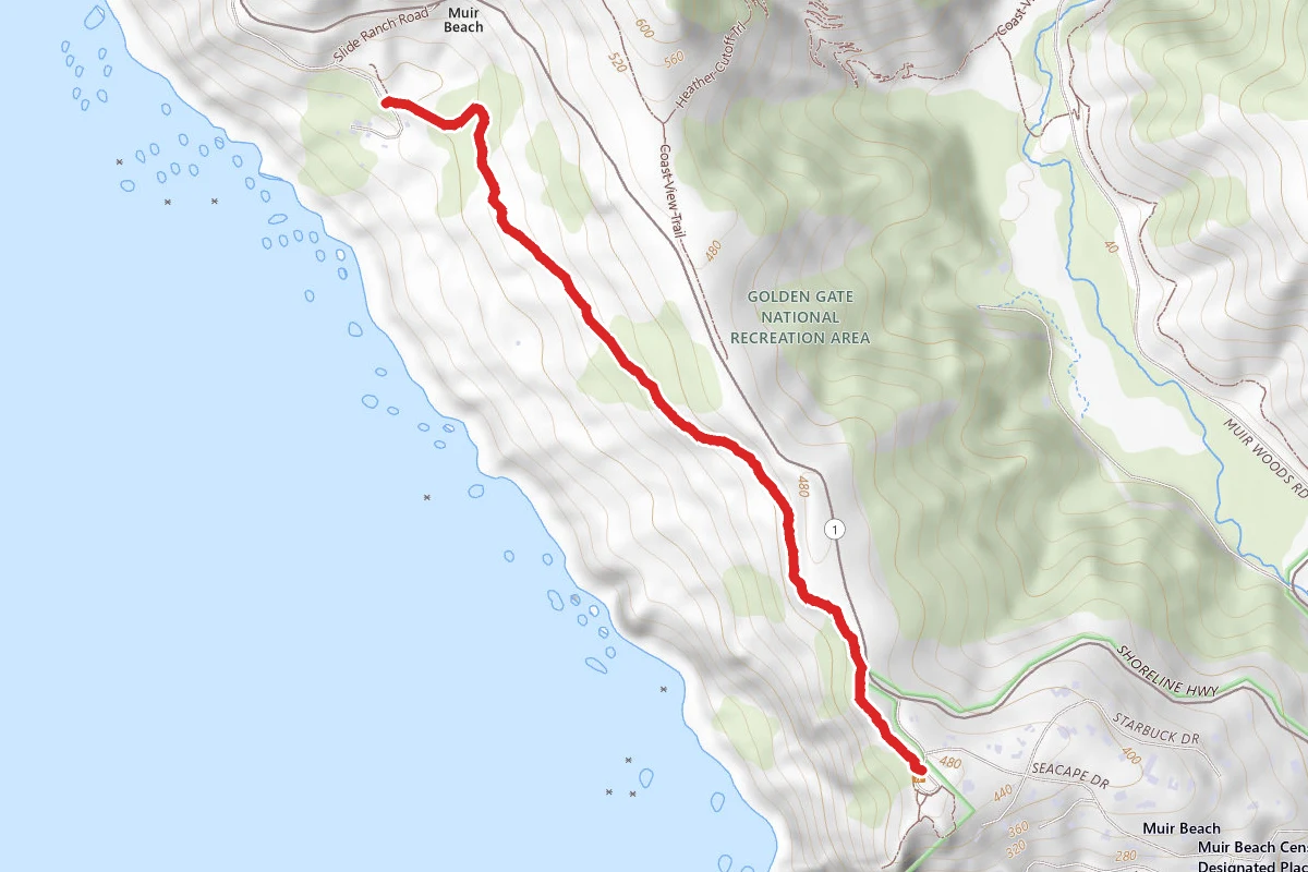 Owl Trail
