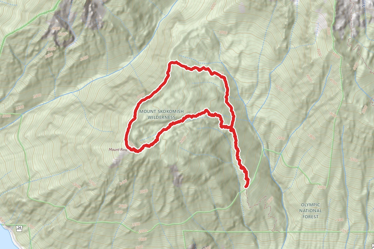 Mt. Rose