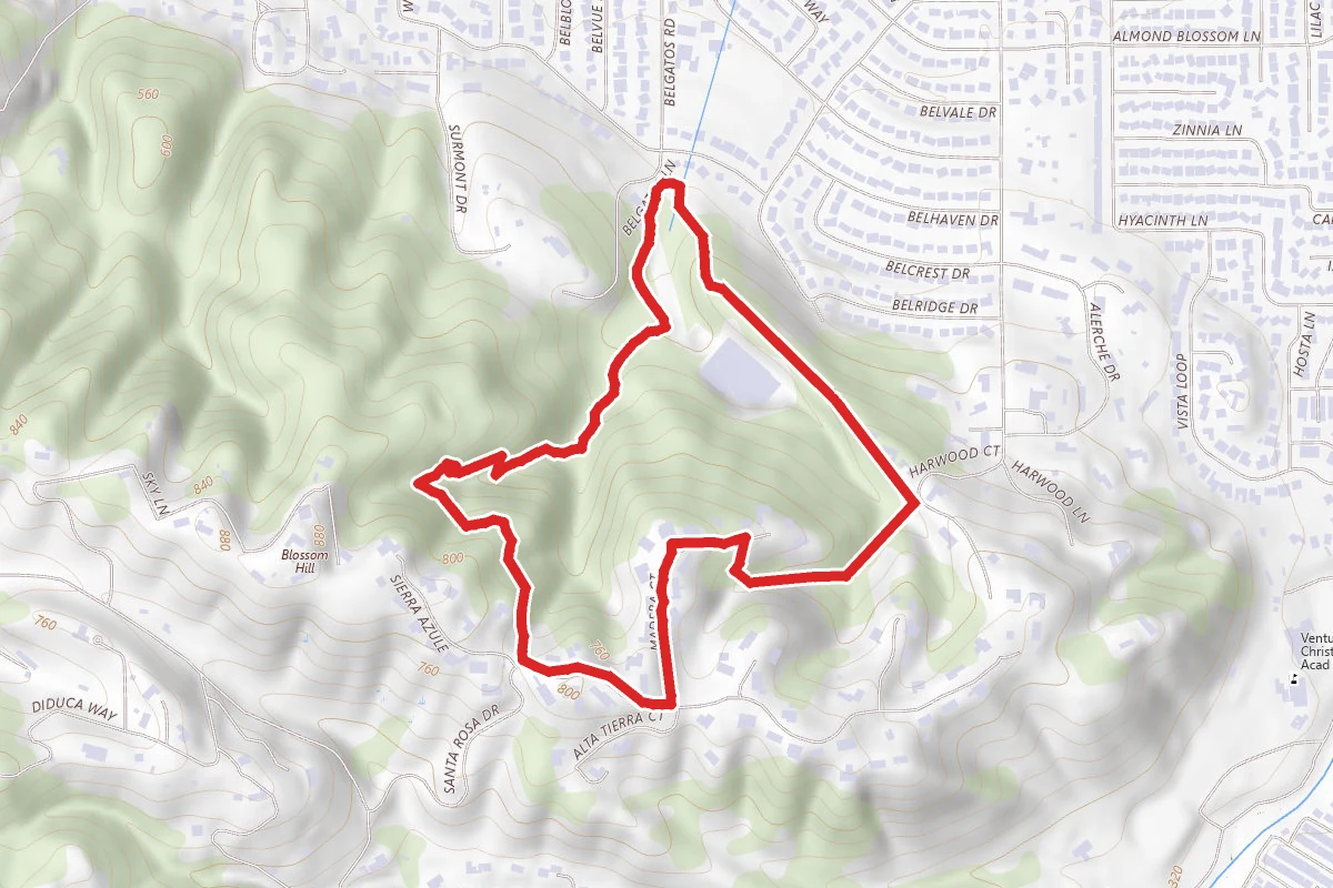 Belgatos Park Loop