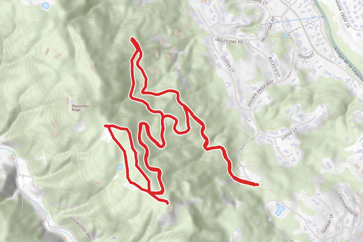 Valley View Trail to Blue Oak Trail Loop
