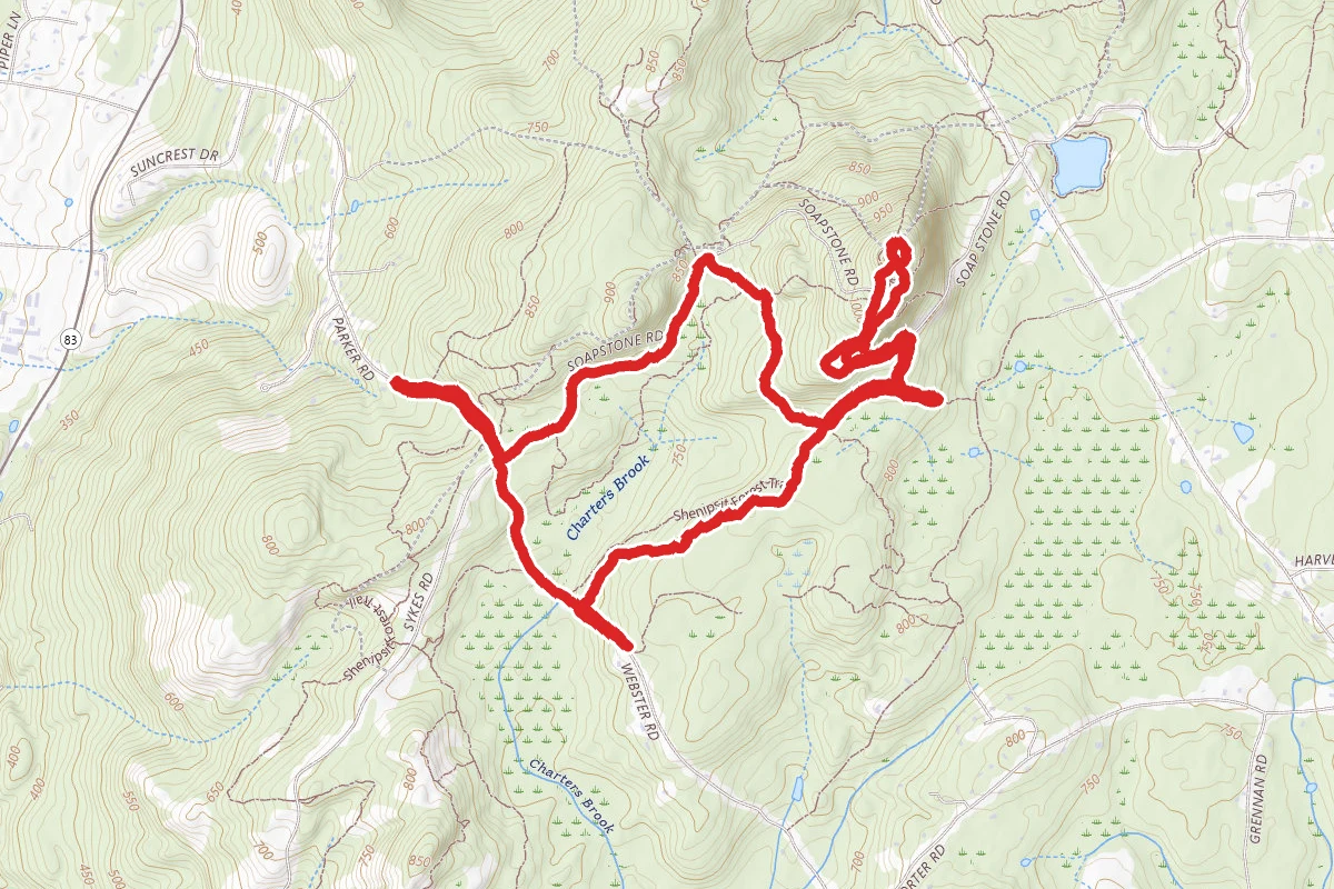 Shenipsit Forest Trail