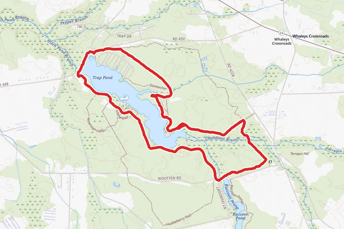 Trap Pond Loop