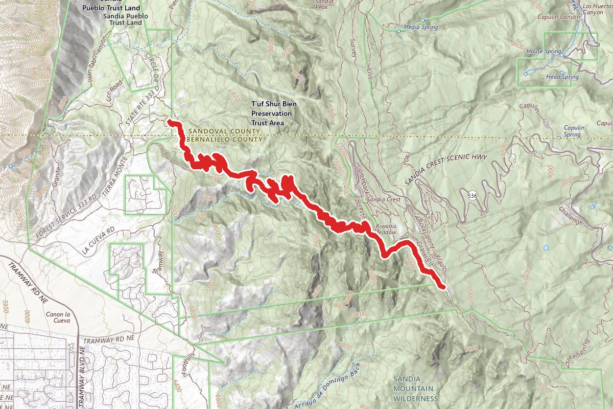 La Luz Trail #137