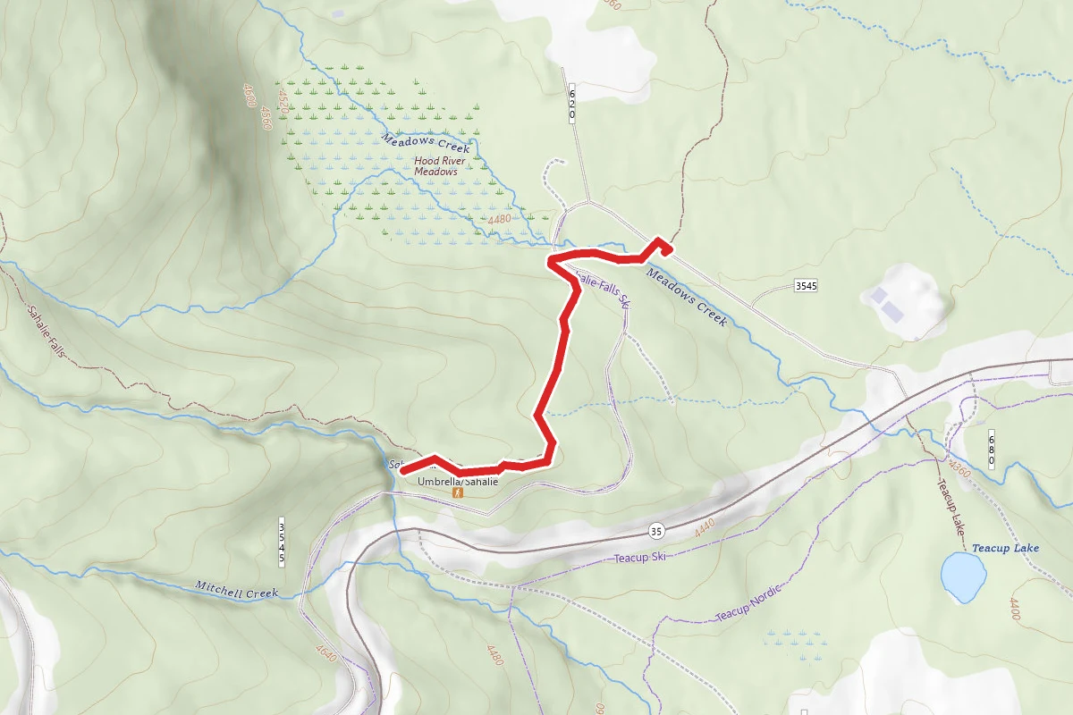 Sahalie Falls Trail