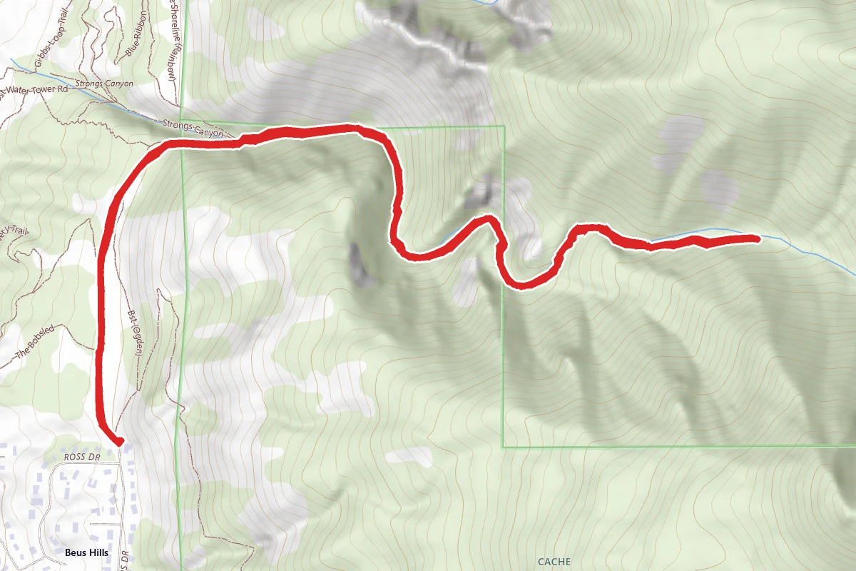Strongs Canyon Trail