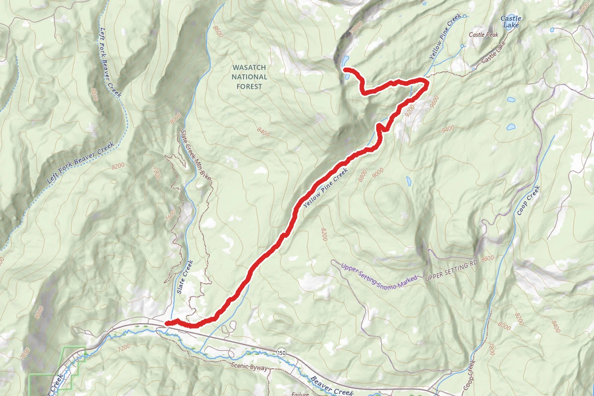 Yellow Pine Trail