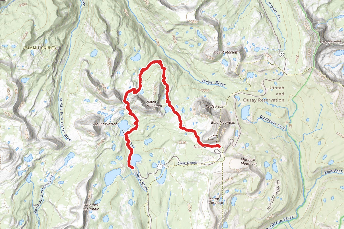 Notch Mountain Trail to Trial Lake