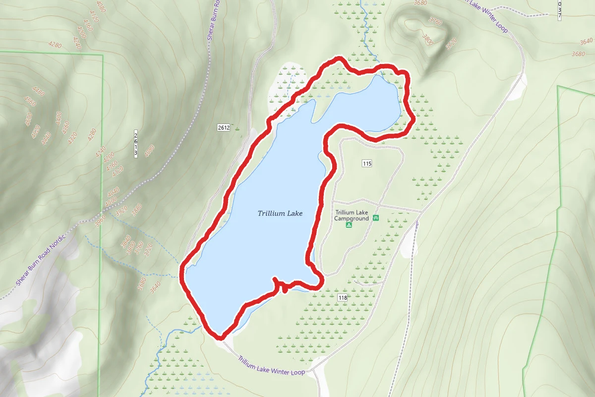 Trillium Lake Loop Trail