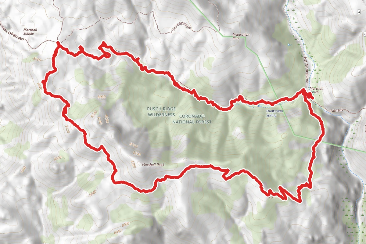 Aspen Trail and Marshall Gulch Loop Trail