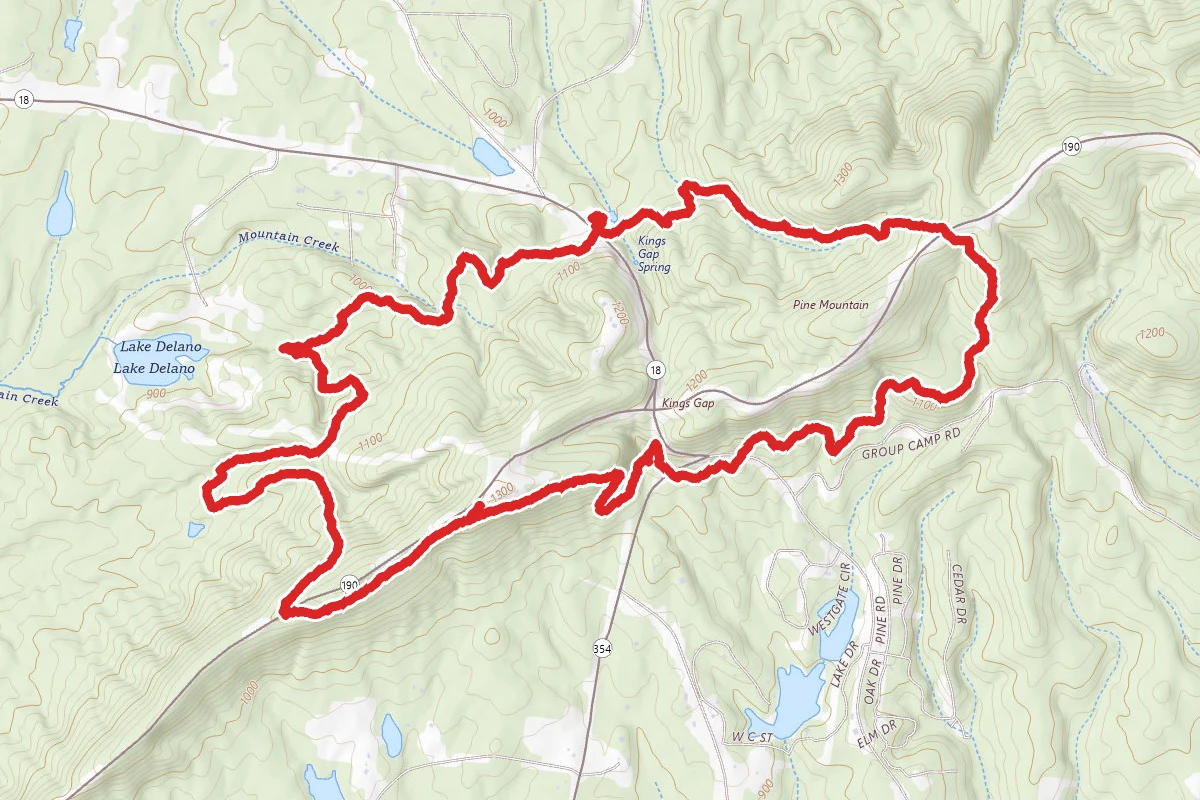 Long Leaf Loop