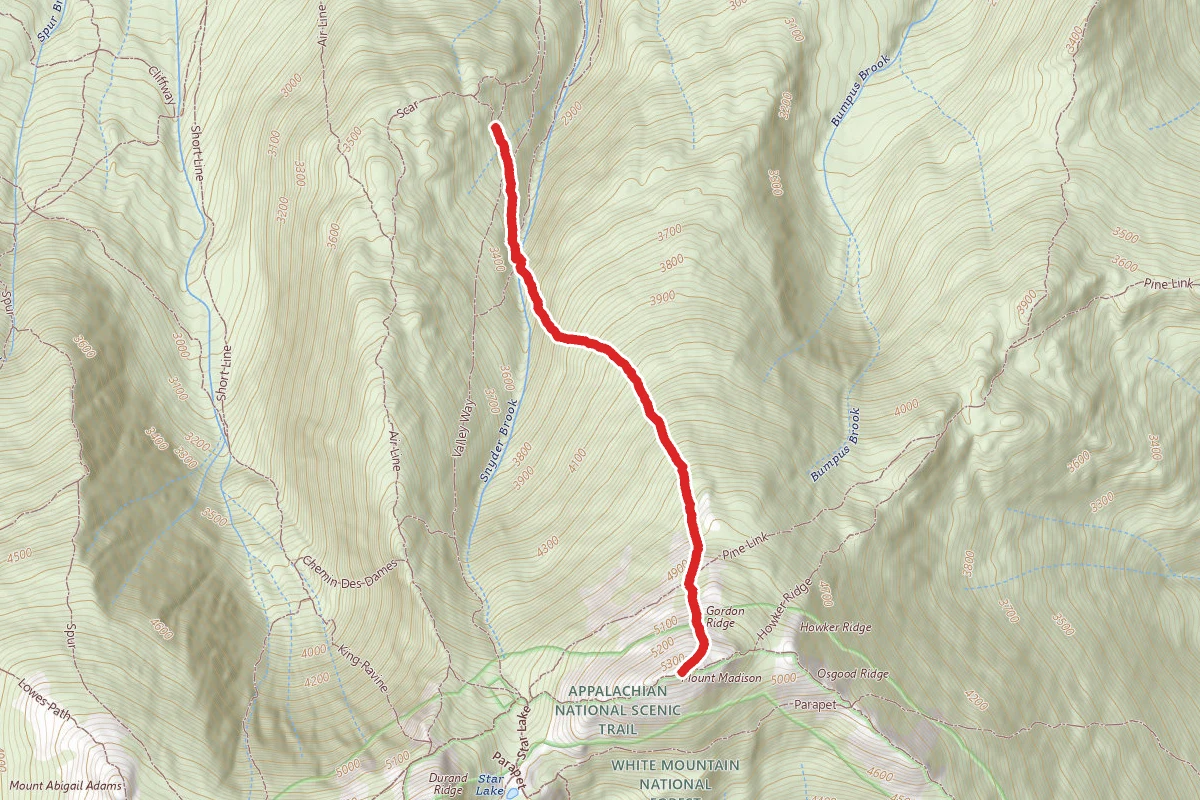 Watson Path