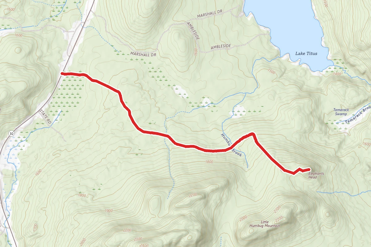 Elephant's Head Trail