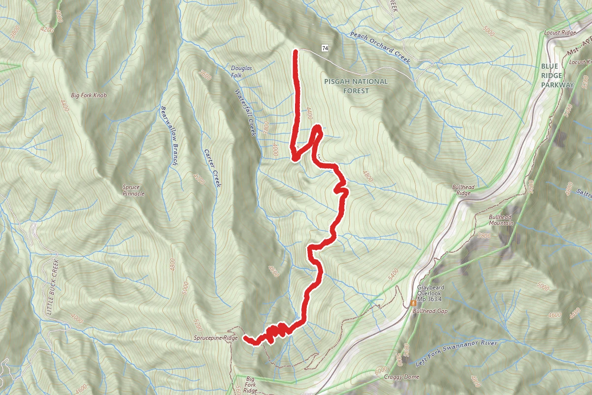 Douglas Falls Trail via Big Ivy Road