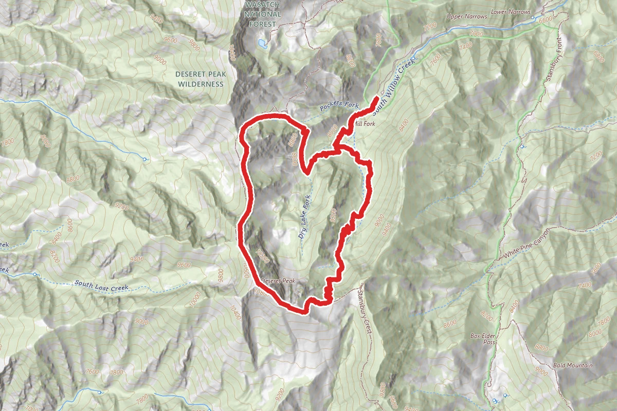 Deseret Peak Wildeness Loop