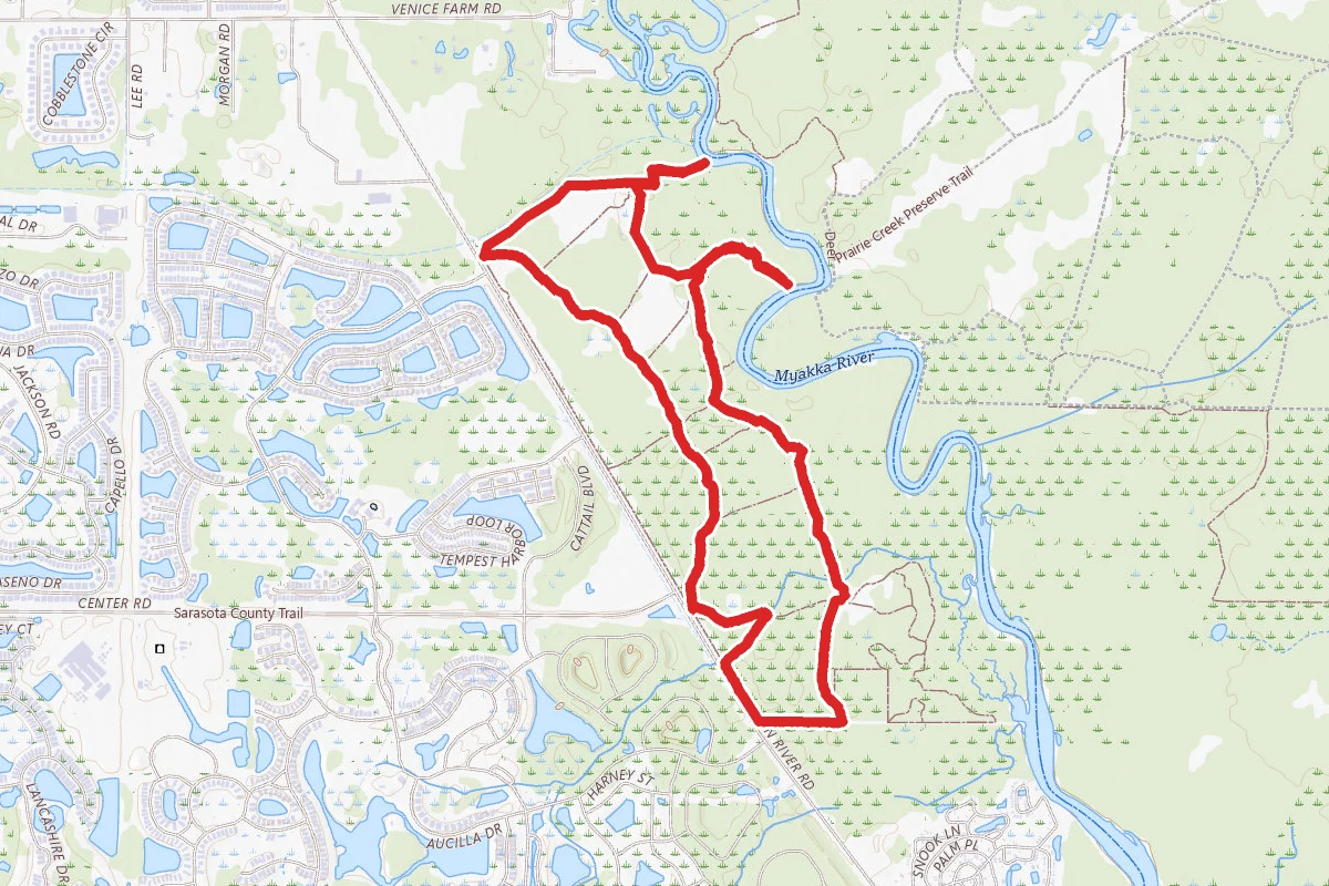 Jelks Preserve Trail