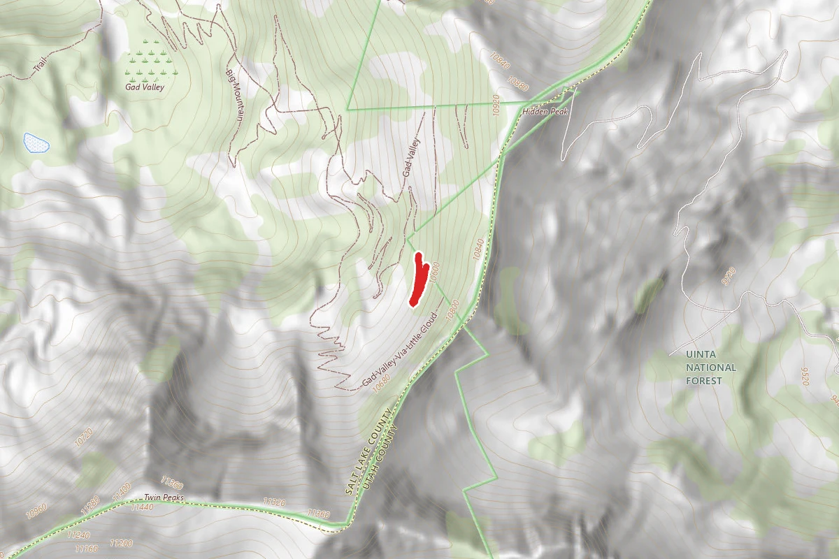 Big Mountain