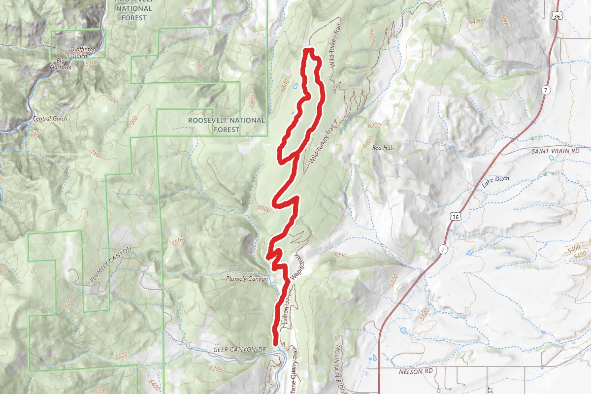 Wapiti Trail Loop