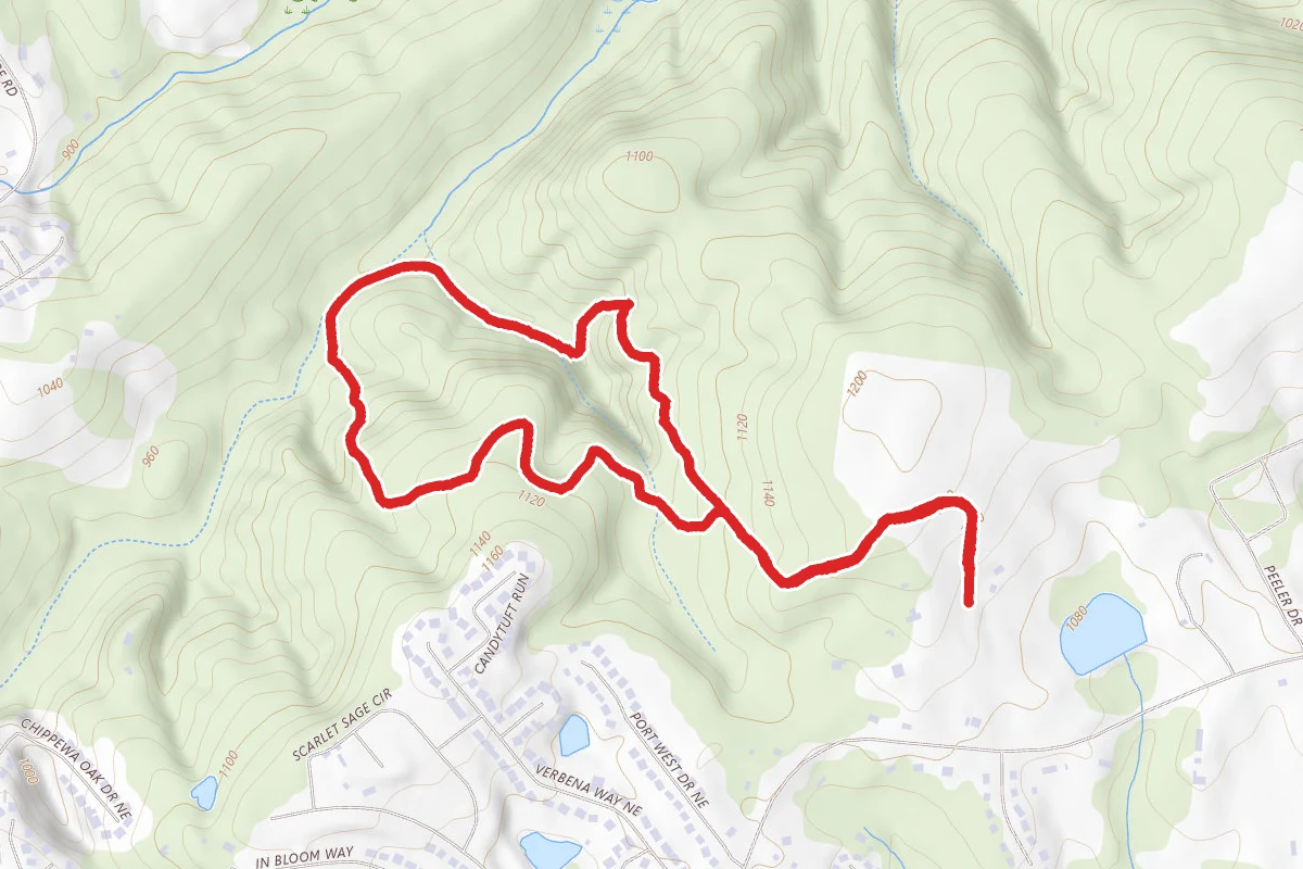 Ravine Loop Trail