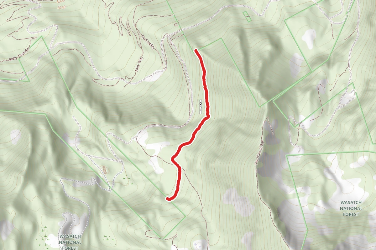 Big Mountain