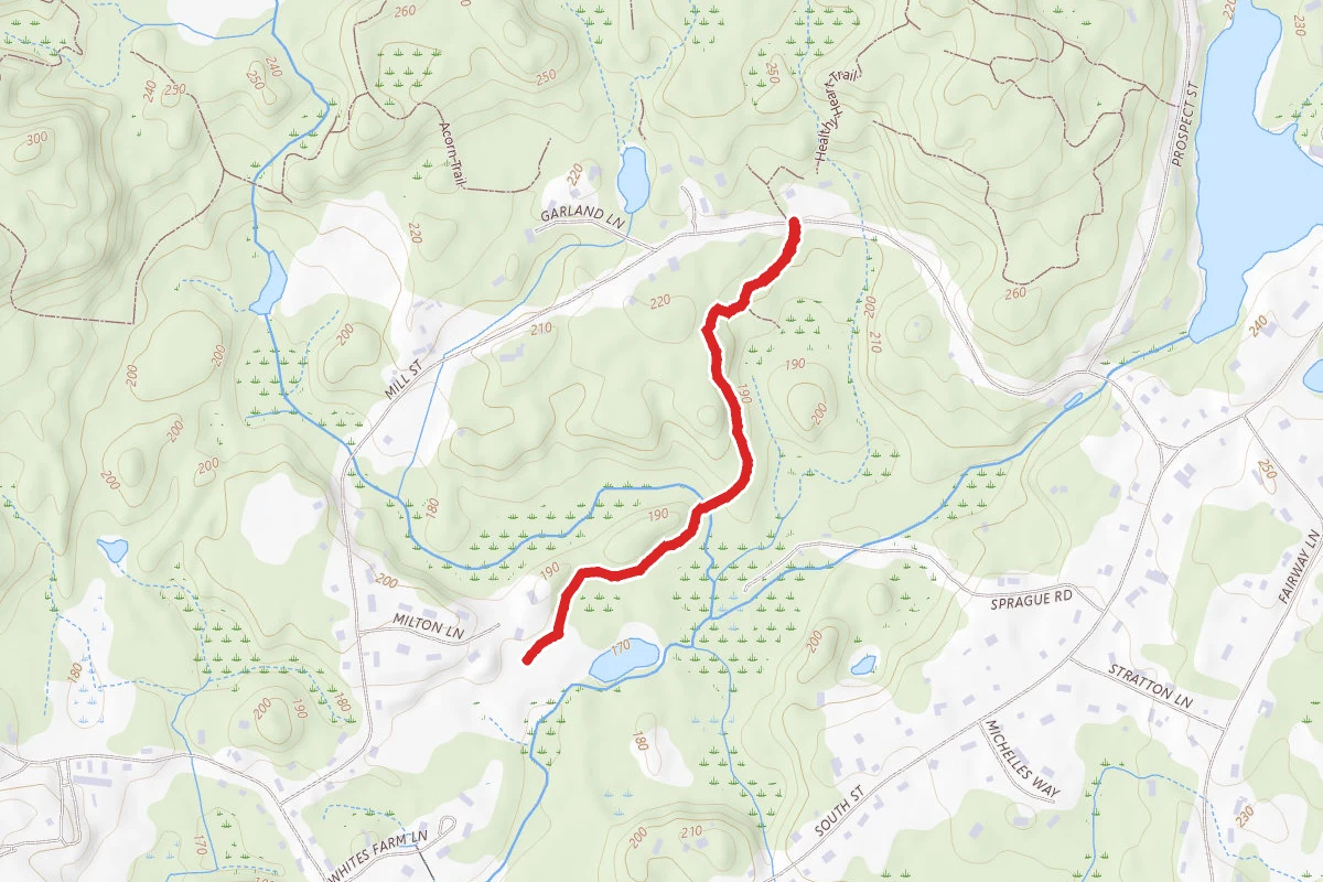 F. Gilbert Hills State Forest Trail