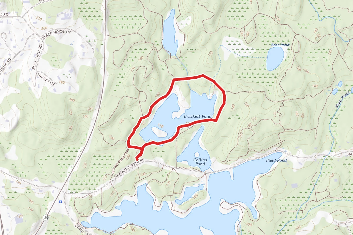 Brackett Pond Loop