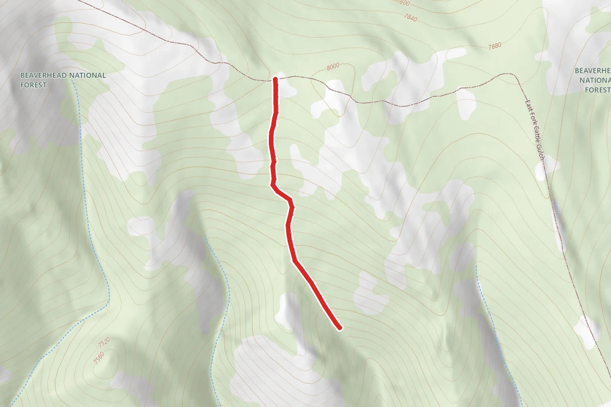Cattle Gulch Ridge