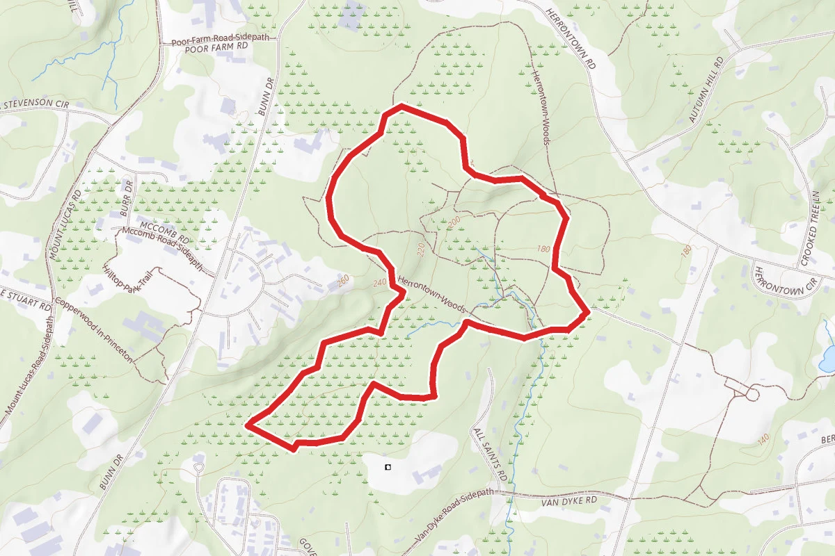 Herrontown Woods Trails