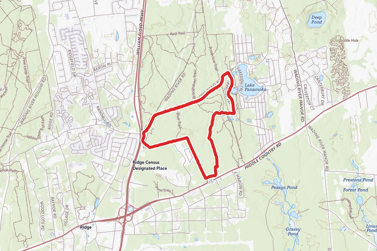 Long Pond and Green Trail Loop