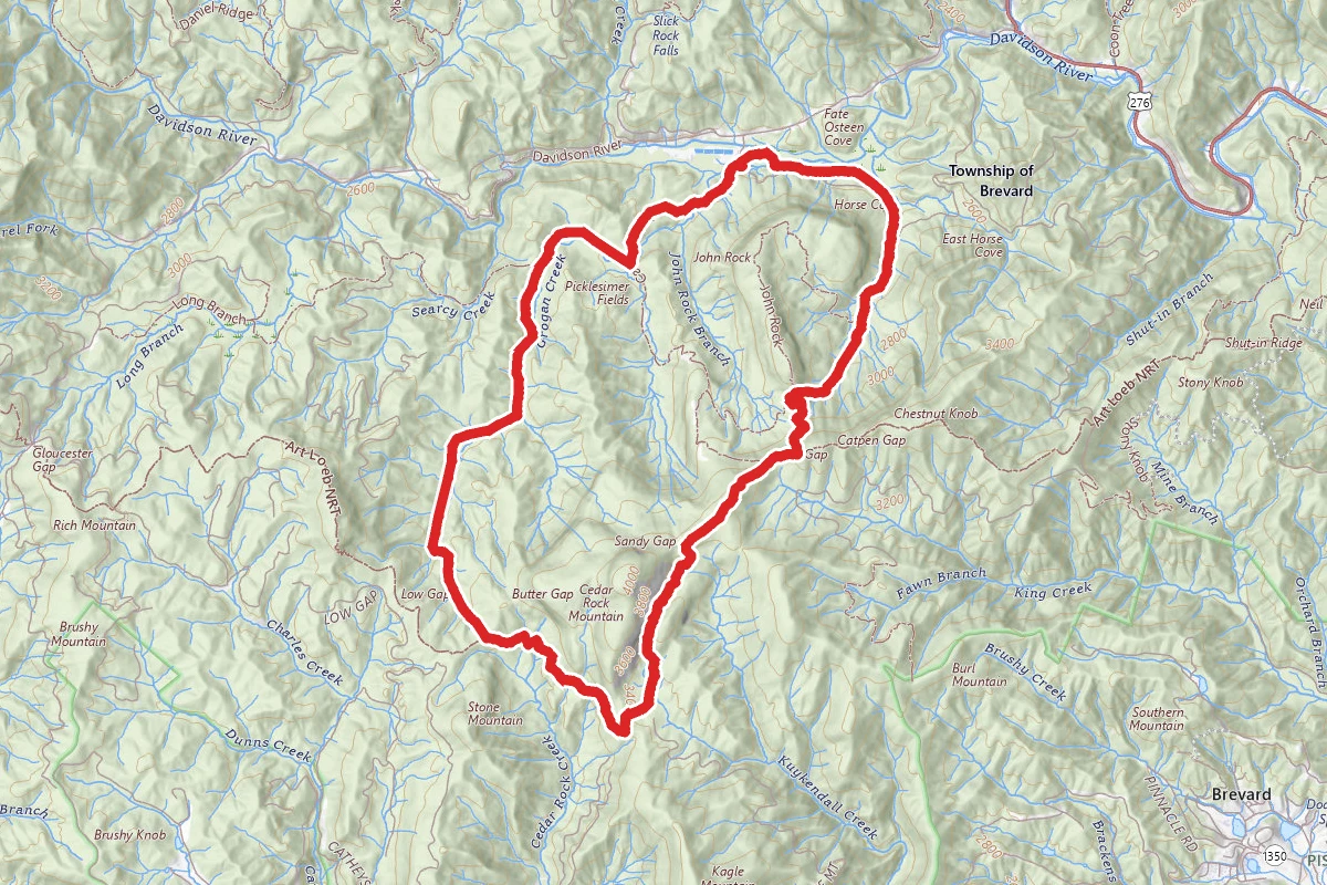 Butter Gap to Cat Gap Trail
