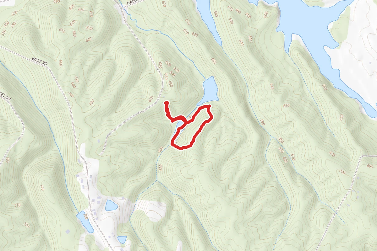 Oakleaf Trail
