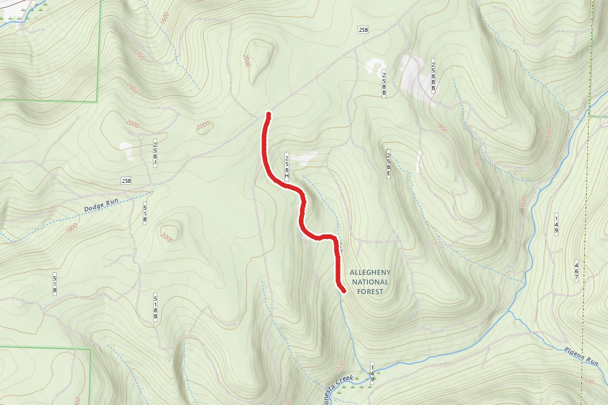 Hector Falls Trail