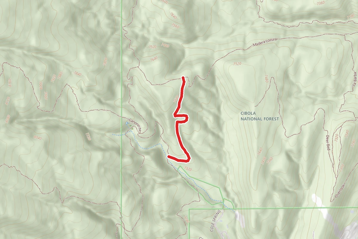 Elk Track